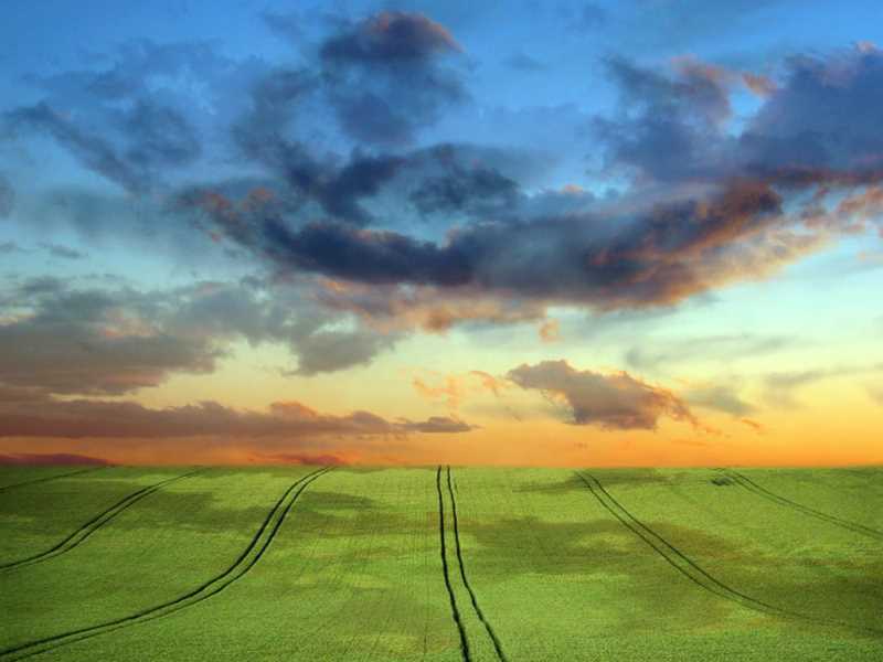 谈谈Command对象与数据检索
