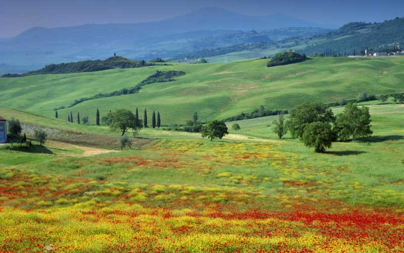 降火中药药方，补肾滋阴降虚火的中药方子
