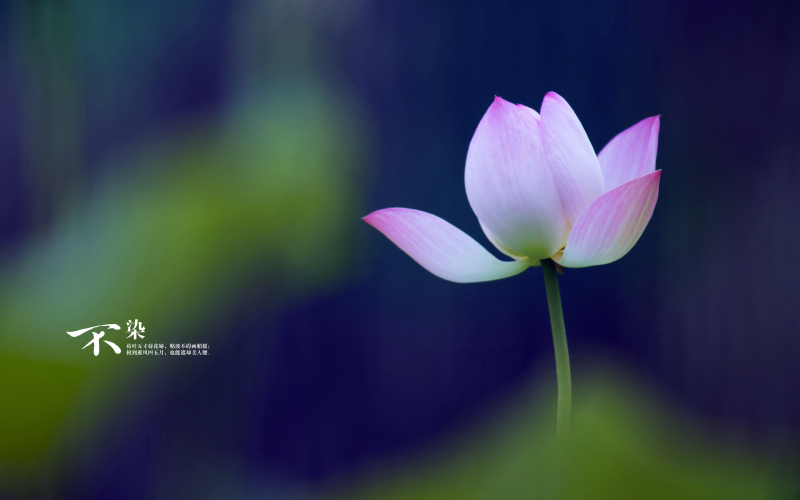 html5密码输入错误提示，html网页打开调用方法