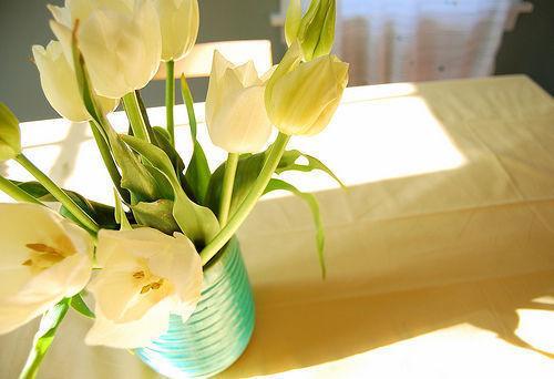 中华成语故事里的经典句子