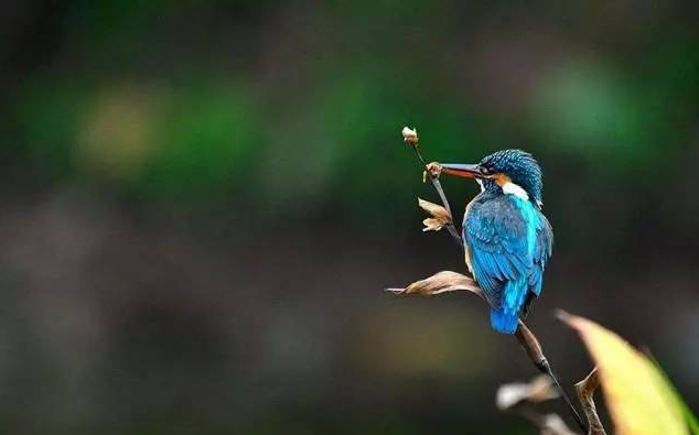 感悟人间经典文案句子图片