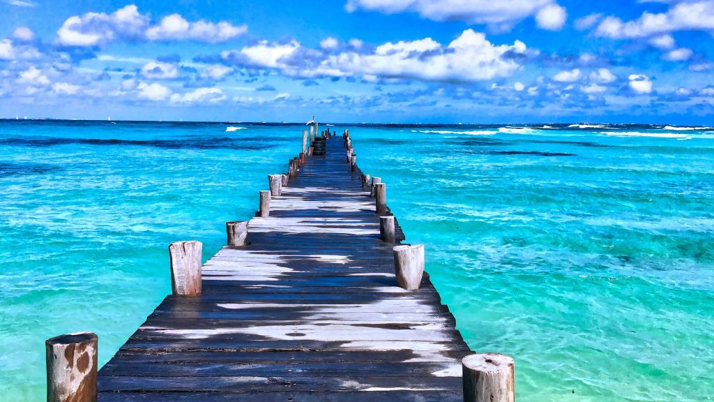 传统养生小知识图片卡通，杜老师养生小知识视频全集