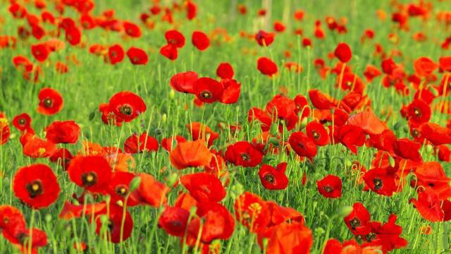 容易误解的句子经典（优选110句）