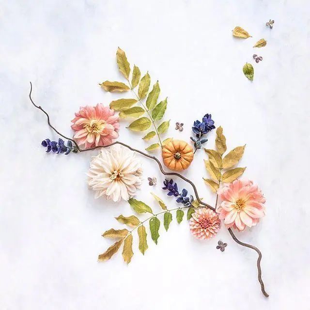 心情的句子经典短语图片