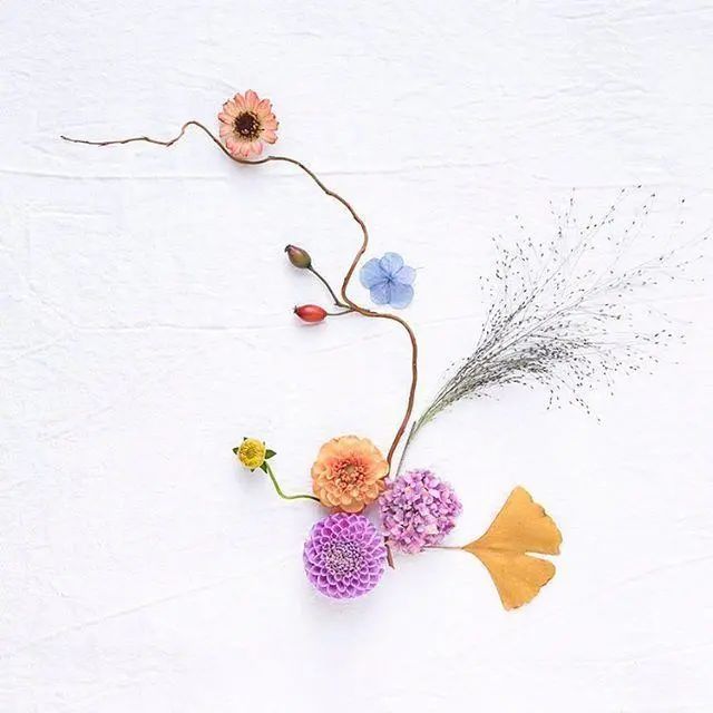 四六句经典句子范文（必备50句）