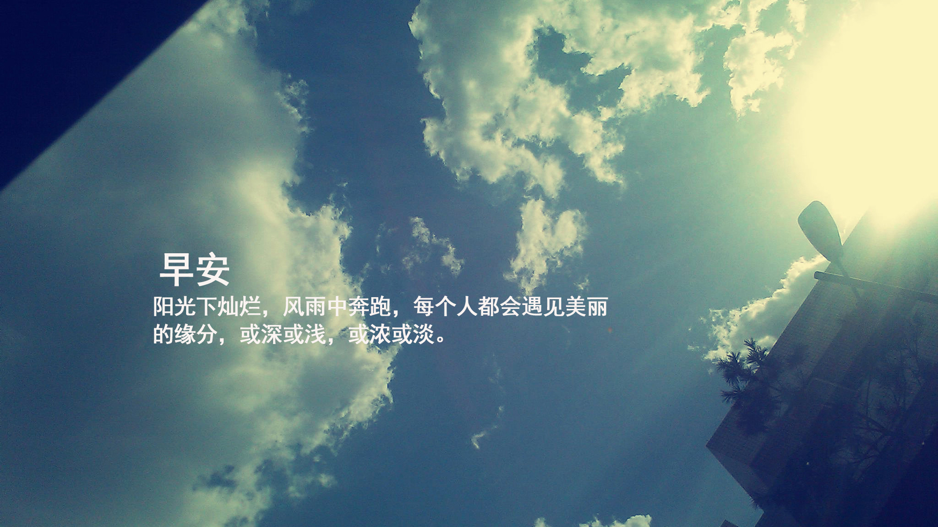 日本第一牛郎经典句子（汇总30句）