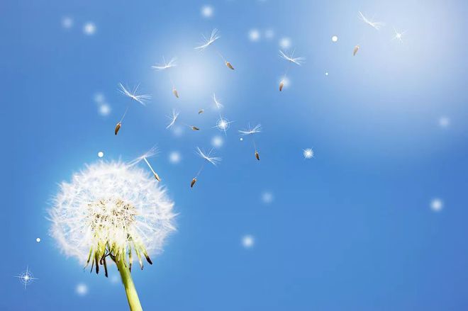 人生经典的短句子（优选80句）