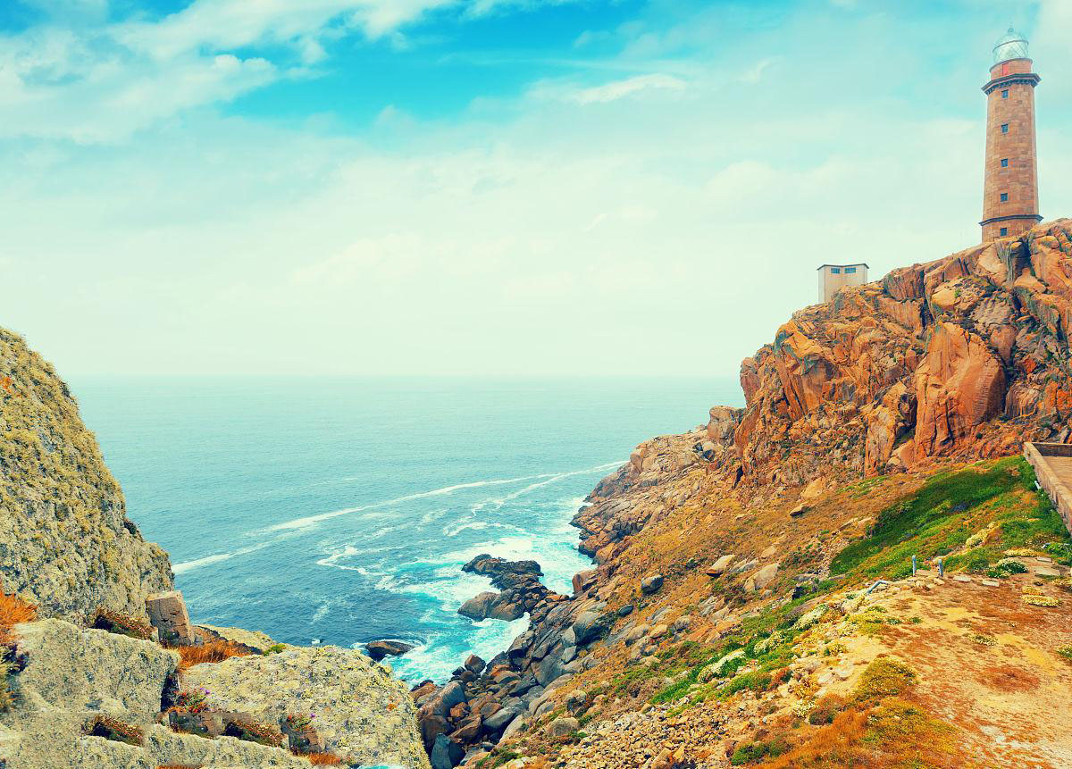 鹿不会见经典句子（热门90句）