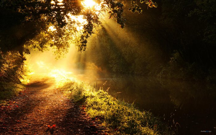 佛说经典句子大全（合集10句）