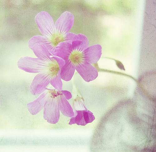 葬爱句子经典非主流（一共40句）