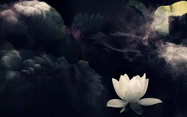 佛祖保佑国家的句子经典