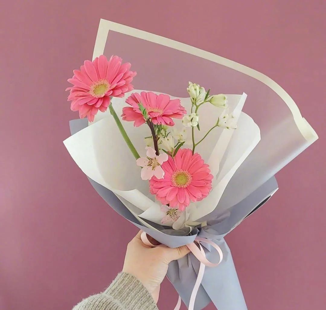 关于爱莲的经典句子（合集10句）