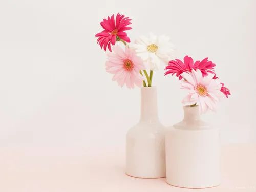 箴言语录经典句子（共40句）