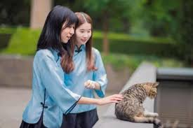 爸妈搞笑笑话故事