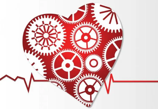 狗今天生肖运势（2024-02/02日）