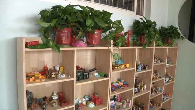 狗今天生肖运势（2024-02/21日）