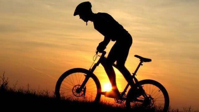 鸡今天生肖运势（2024-02/19日）