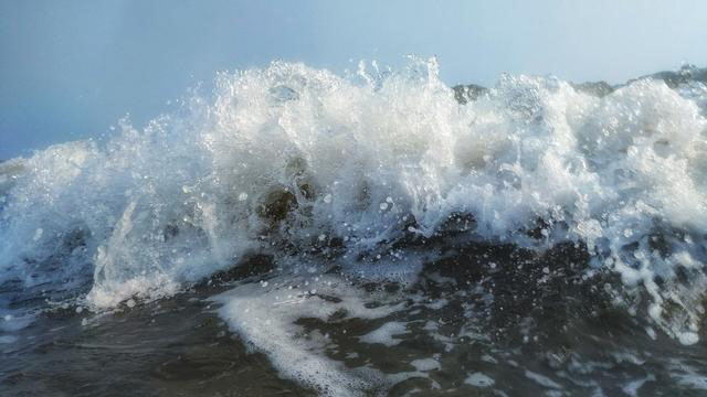 鸡今天生肖运势（2023-12/21日）