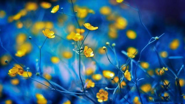 鸡今天生肖运势（2024-03/07日）