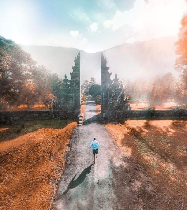 猪今天生肖运势（2023-06/16日）