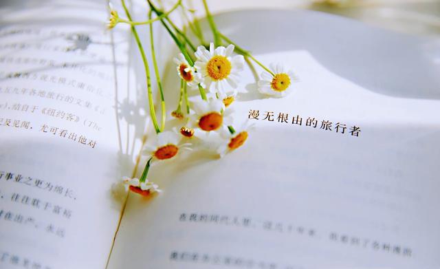 狗今天生肖运势（2024-02/07日）