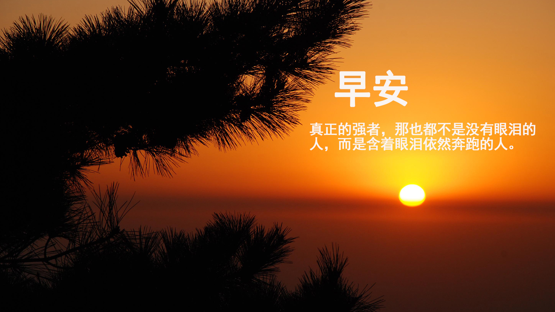 鸡今天生肖运势（2023-12/19日）